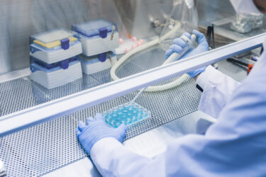 年末年始の無料PCR・抗原検査の検査体制について