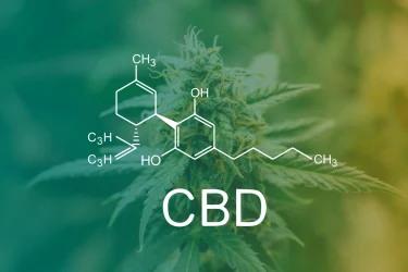 CBDとは？医療でも利用されているって本当？安全性は大丈夫？薬剤師が徹底解説
